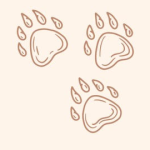 pawprints